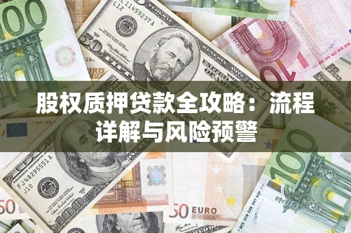 北京股权质押贷款全攻略：流程详解与风险预警
