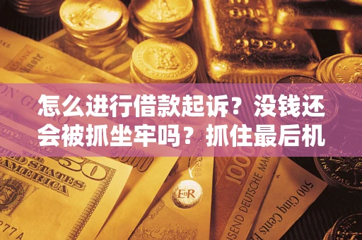 北京怎么进行借款起诉？没钱还会被抓坐牢吗？抓住最后机会！