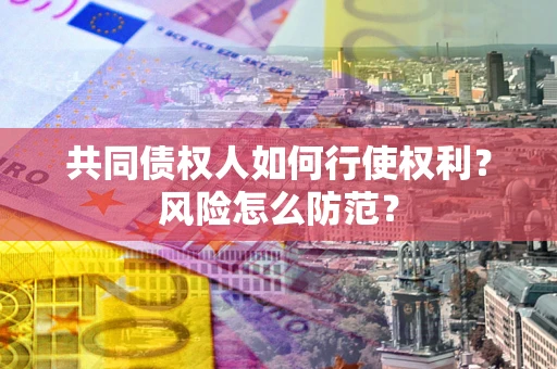 北京共同债权人如何行使权利？风险怎么防范？