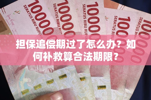 北京担保追偿期过了怎么办？如何补救算合法期限？