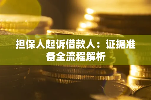 北京担保人起诉借款人：证据准备全流程解析