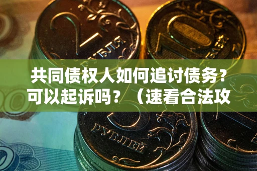 北京共同债权人如何追讨债务？可以起诉吗？（速看合法攻略）